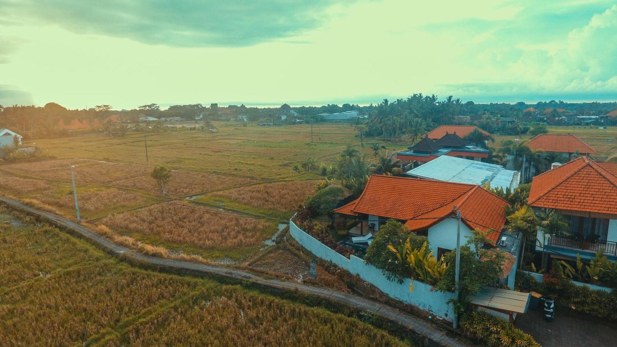 Villa Maya Ubud, Peaceful Rice Field View 외부 사진