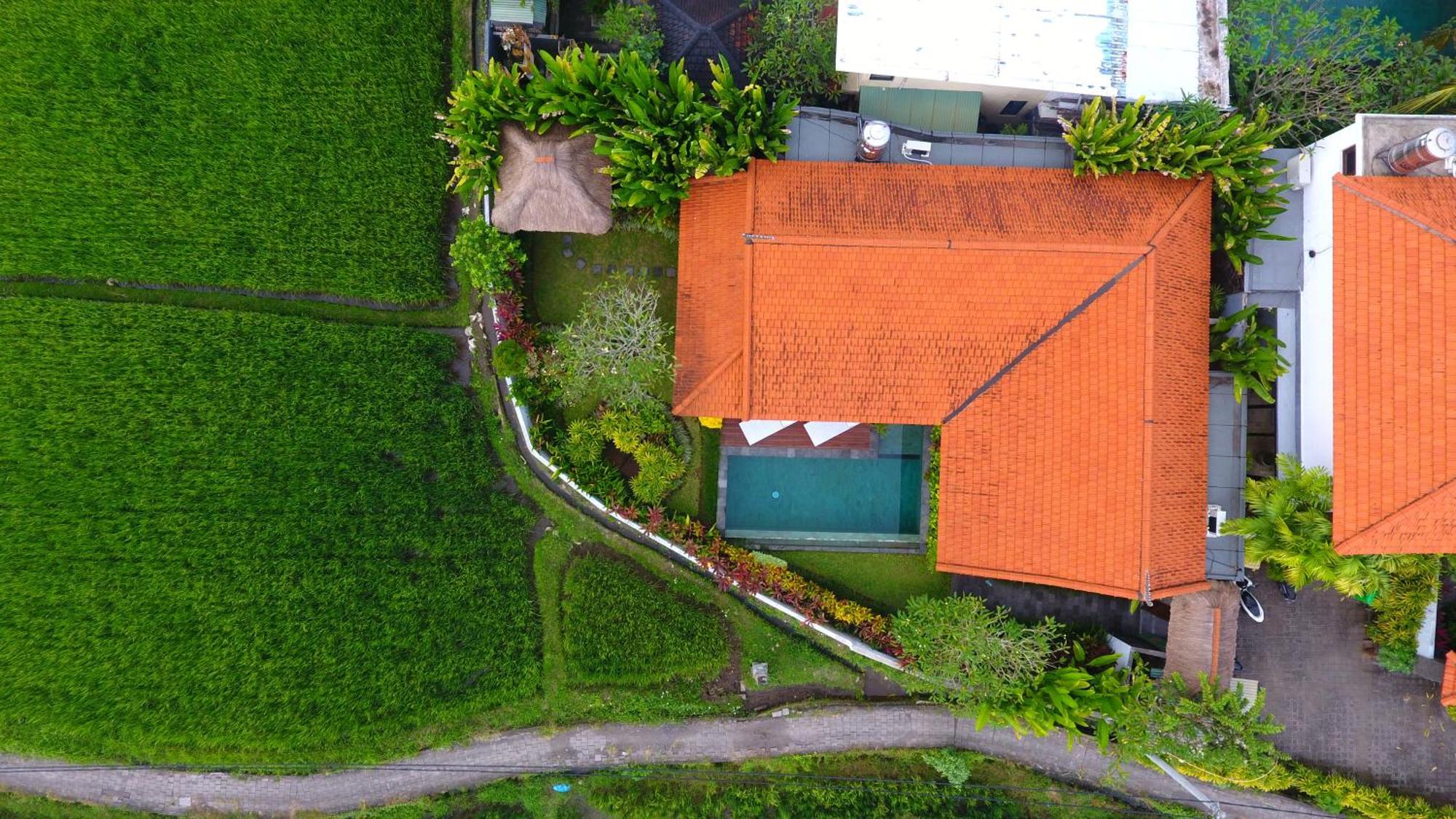 Villa Maya Ubud, Peaceful Rice Field View 외부 사진
