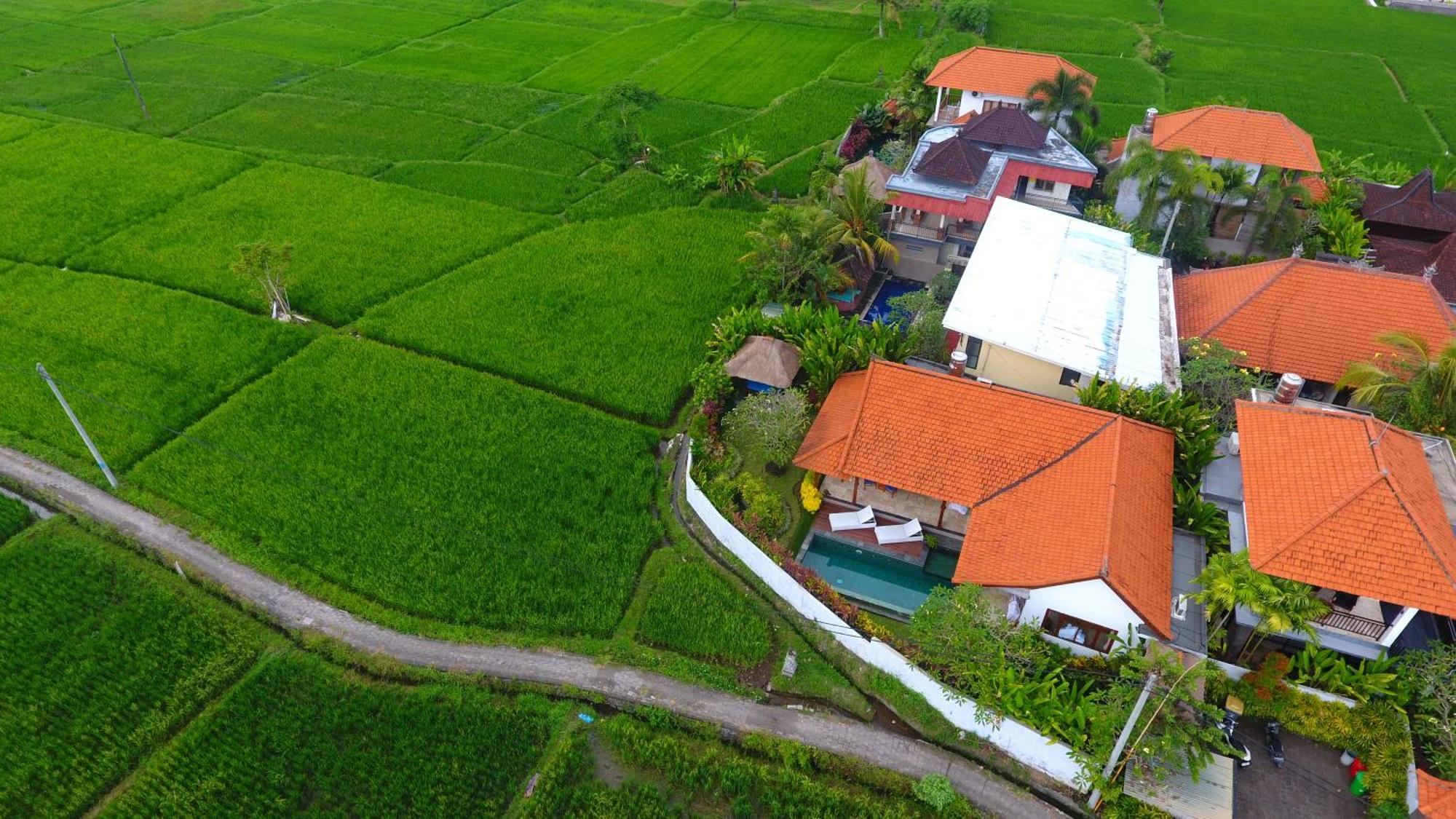 Villa Maya Ubud, Peaceful Rice Field View 외부 사진