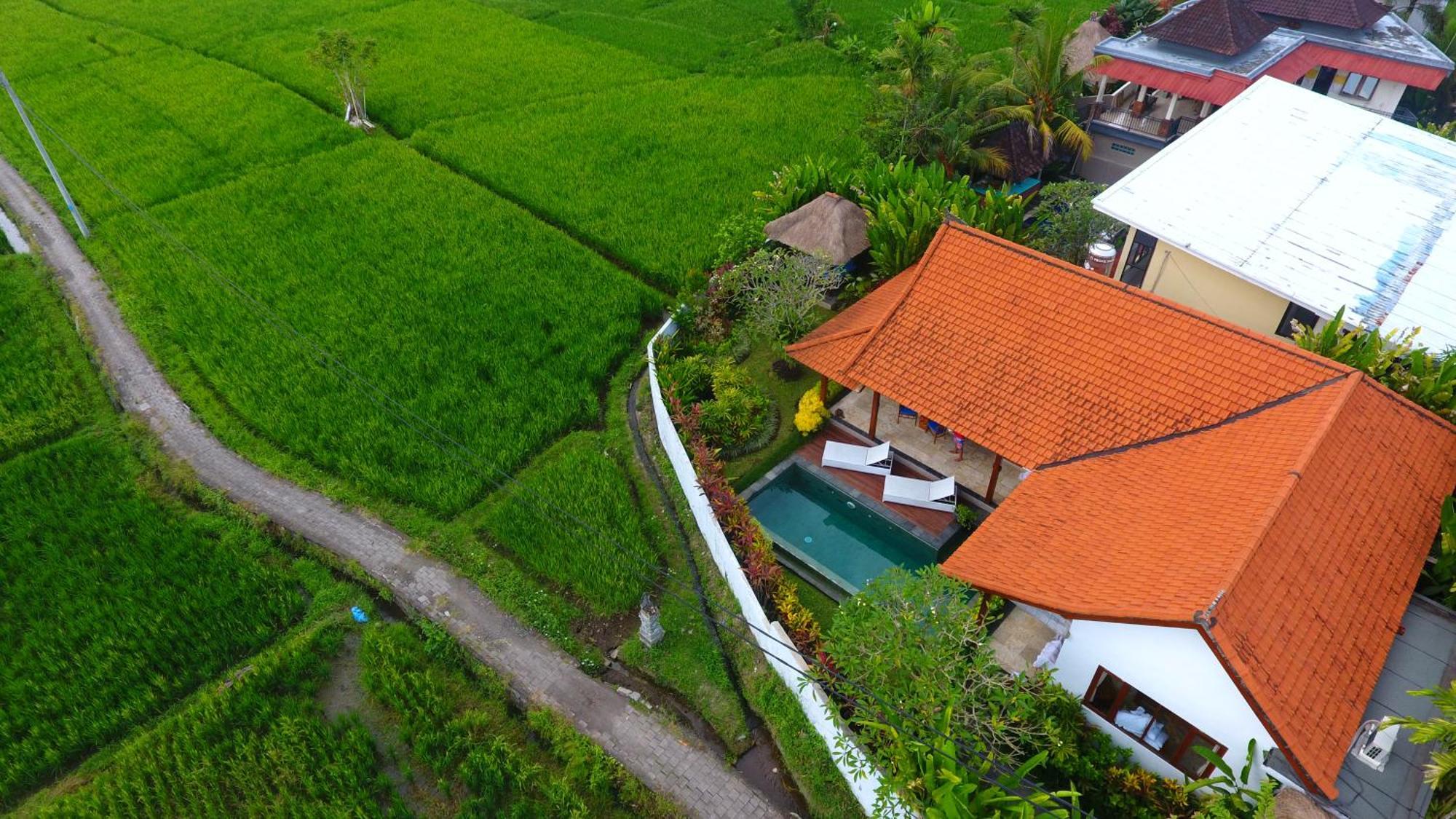 Villa Maya Ubud, Peaceful Rice Field View 외부 사진