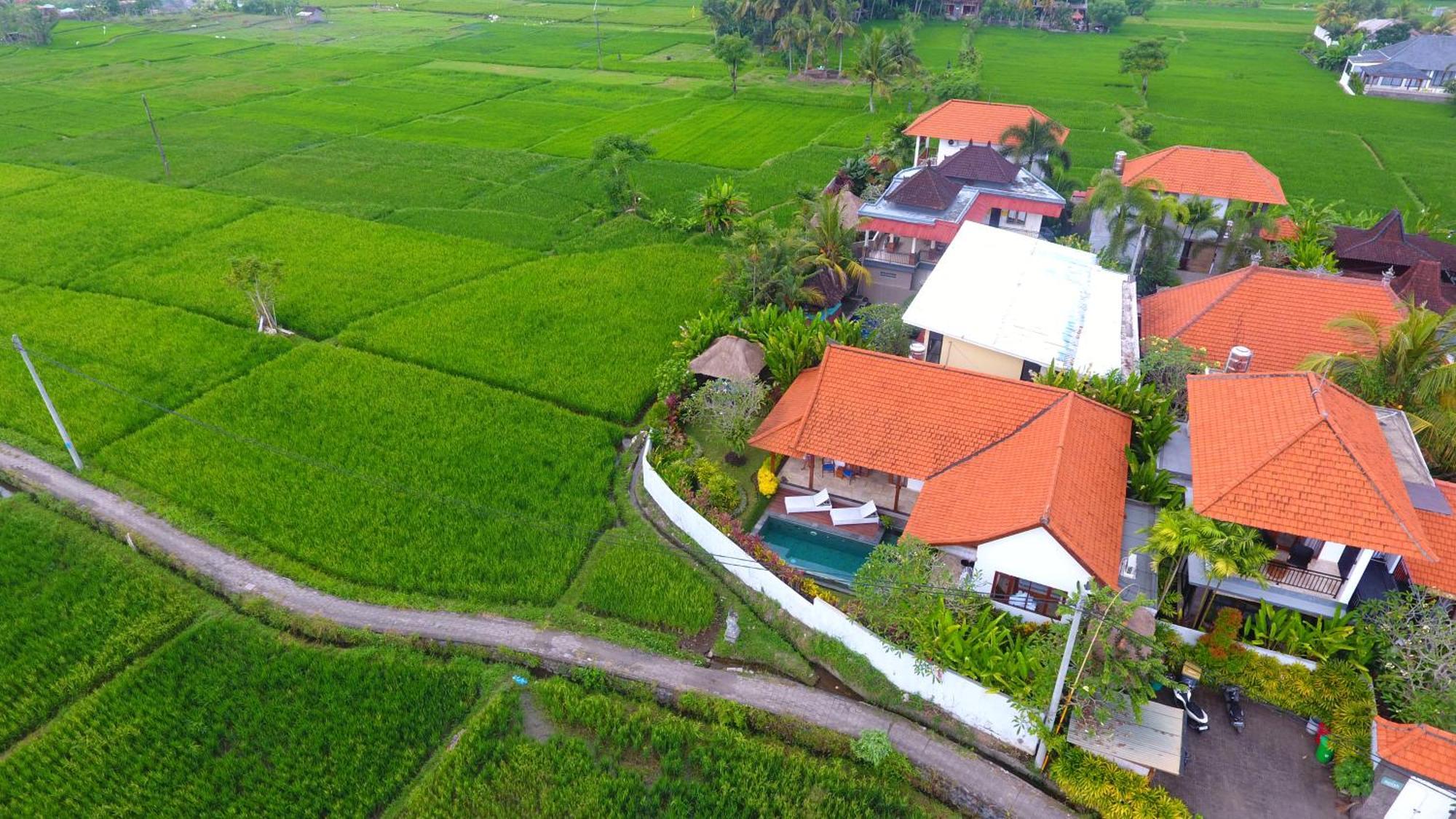 Villa Maya Ubud, Peaceful Rice Field View 외부 사진